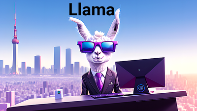 Formation Llama